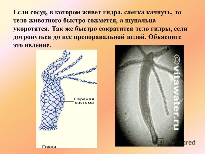 Кракен в обход